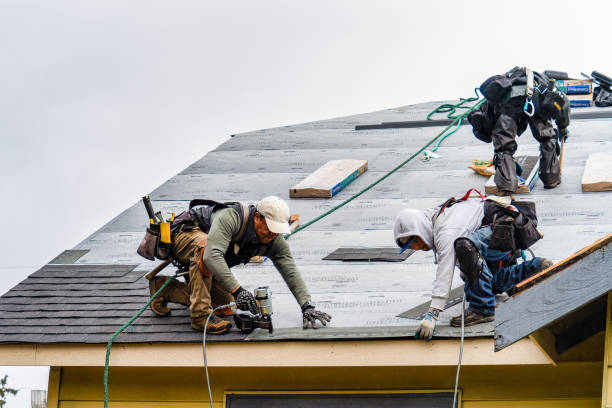 Professional Gutter Installation technician working in Elgin, TX